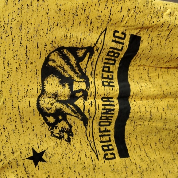 VINTAGE CALIFORNIA REPUBLIC NEW YORK SOVEREIGN STATE YOUTH SIZE XL - Picture 3 of 7